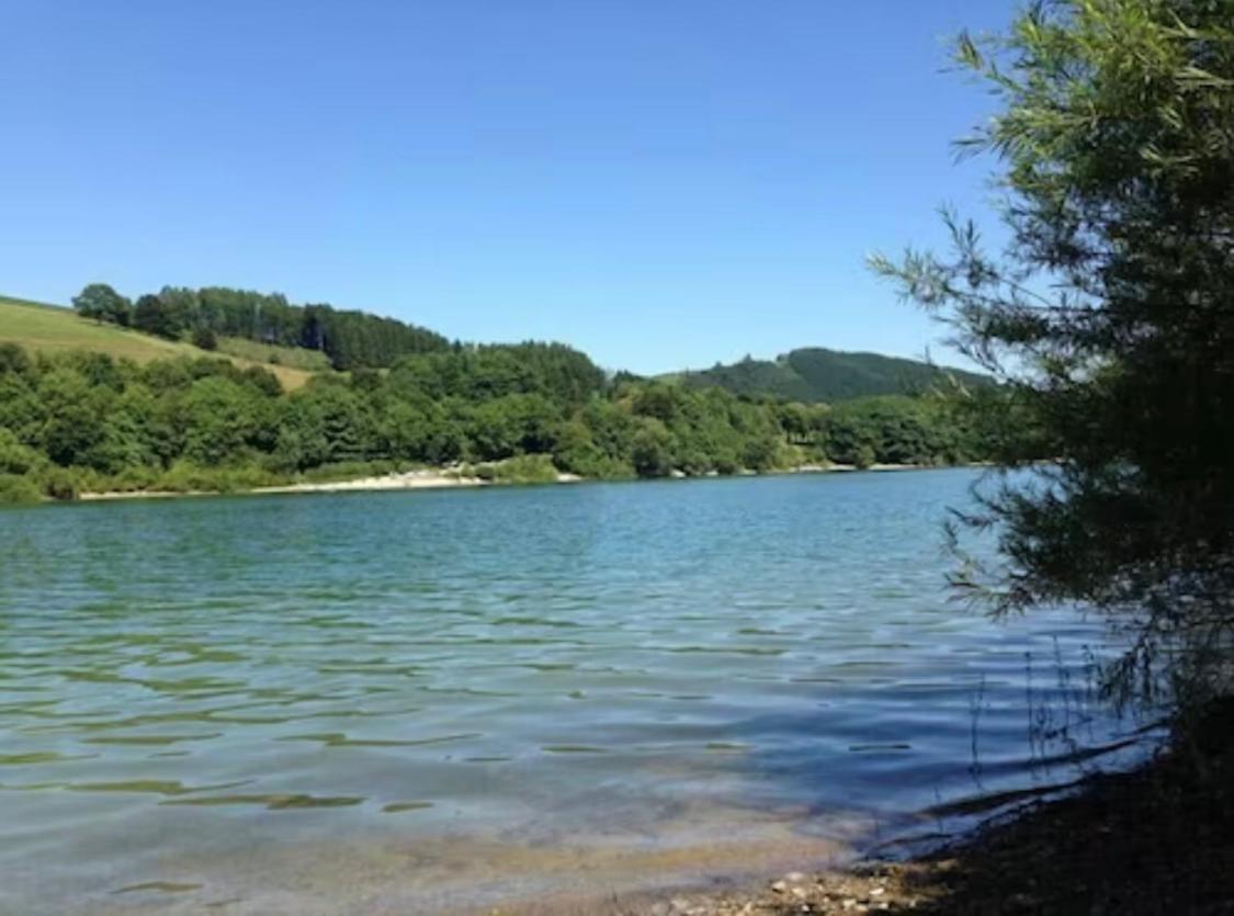 Henneliebe Am Hennesee Meschede Buitenkant foto
